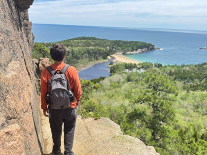 Coastline from a granite ledge, Acadia
